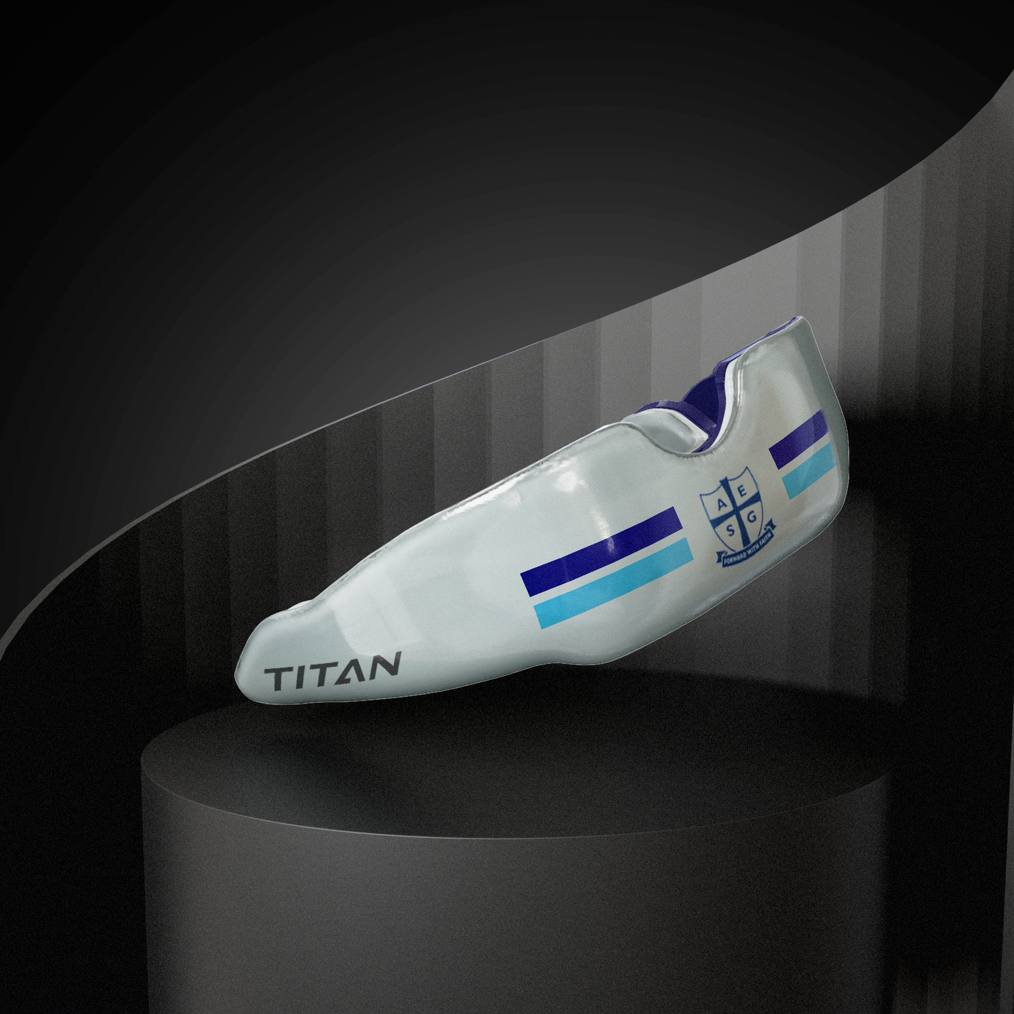 Titan School Editions - Alderley Edge School