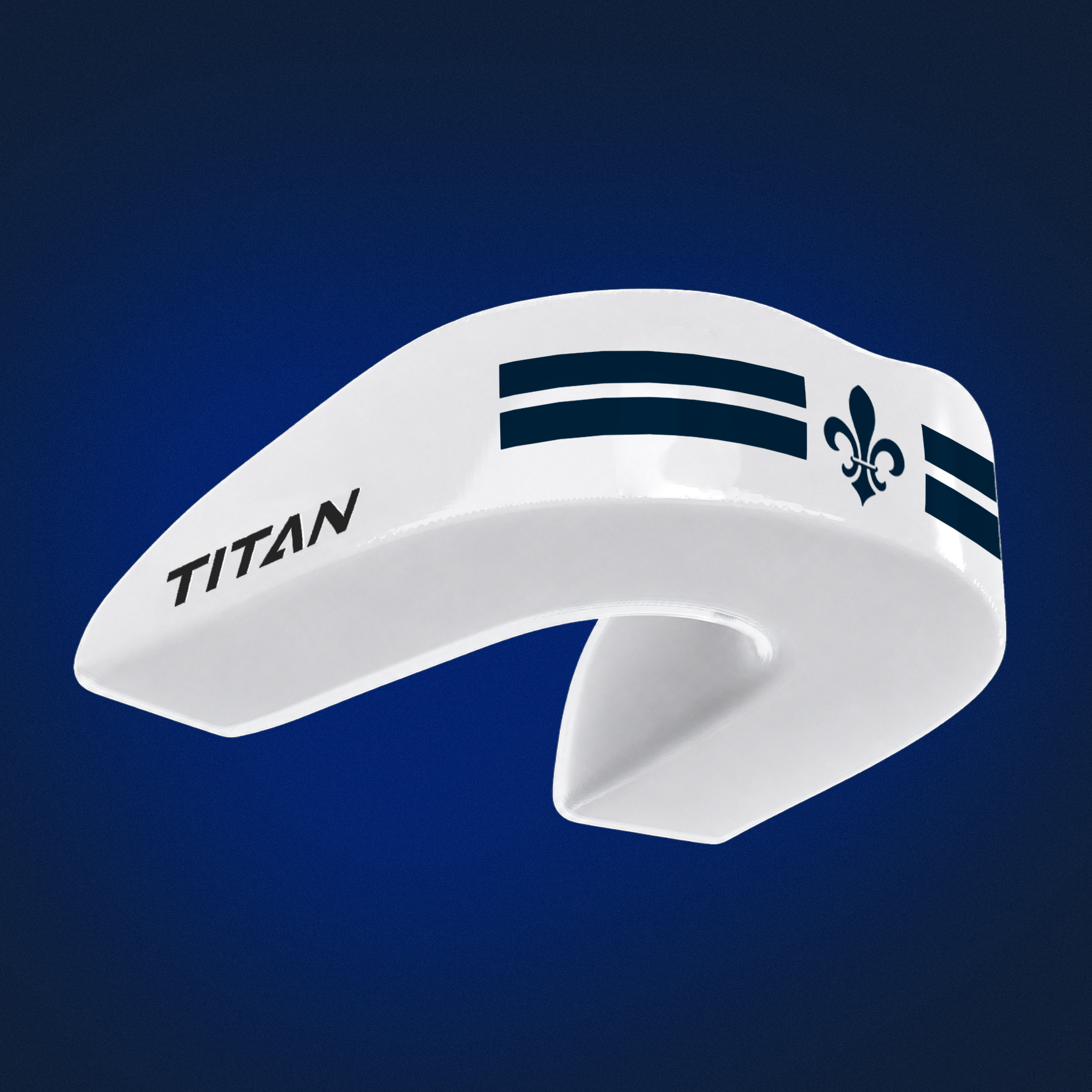 Ballard School - Titan School Editions