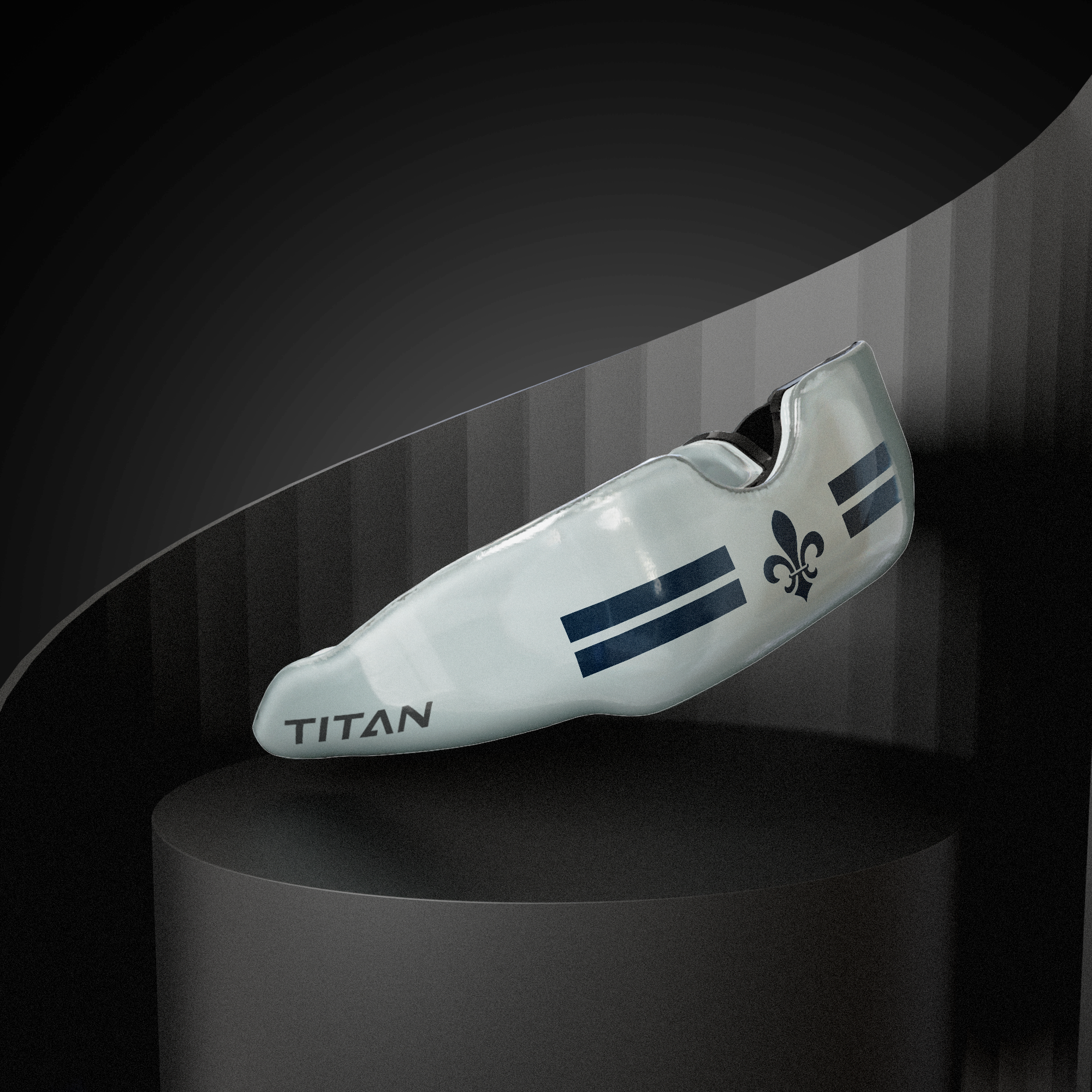 Titan School Editions - Ballard School