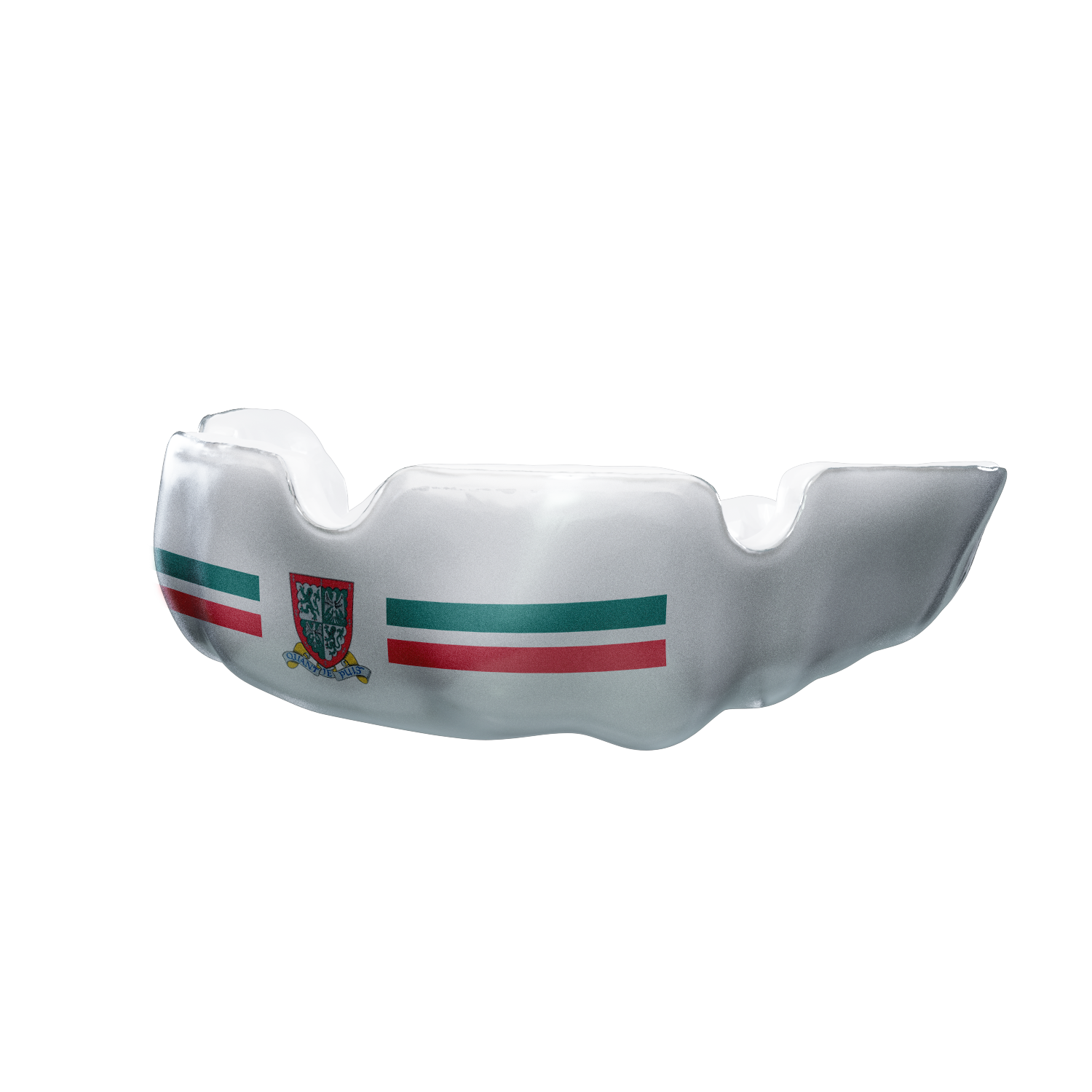 Titan School Editions - Stonyhurst St Mary's Hall