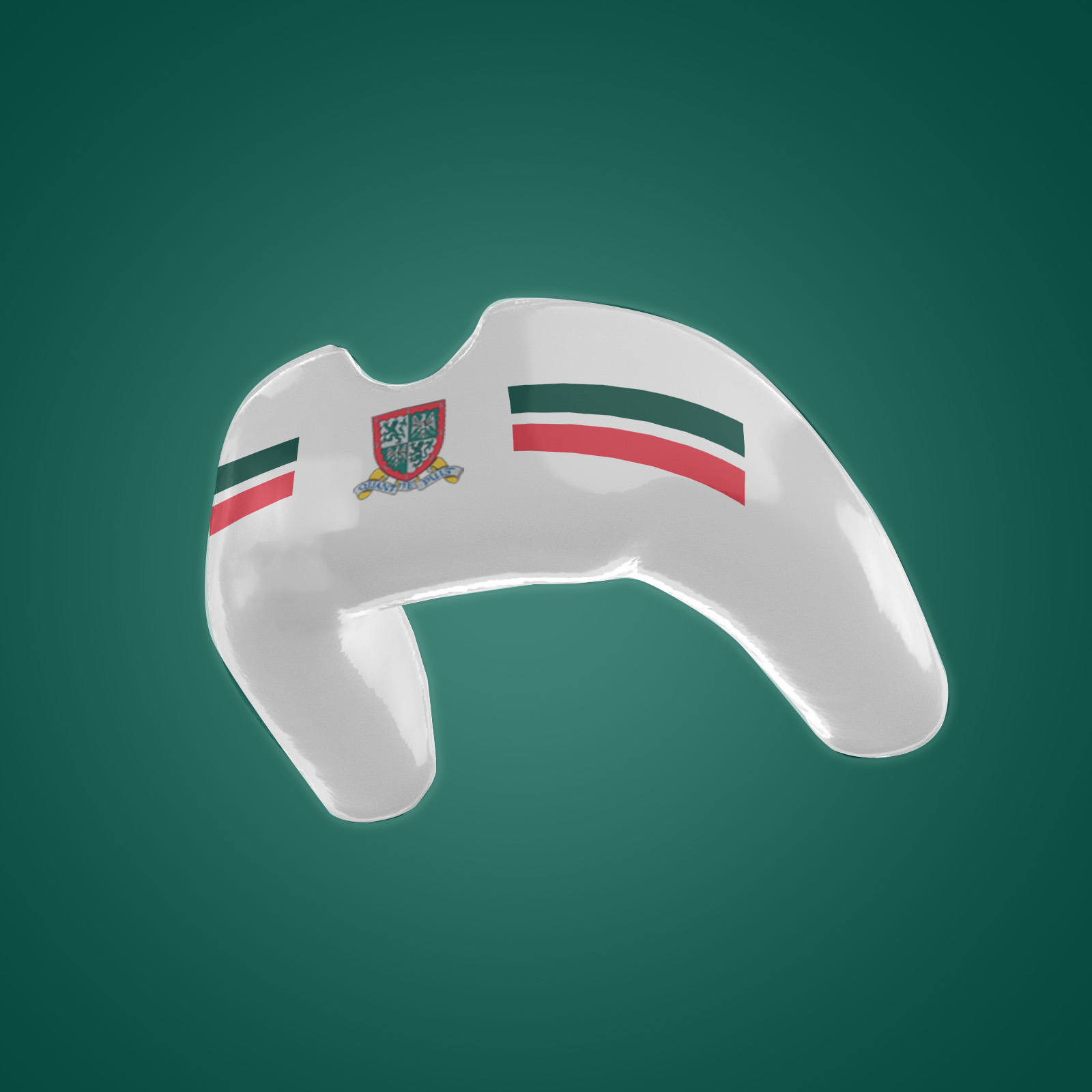 Titan School Editions - Stonyhurst St Mary's Hall