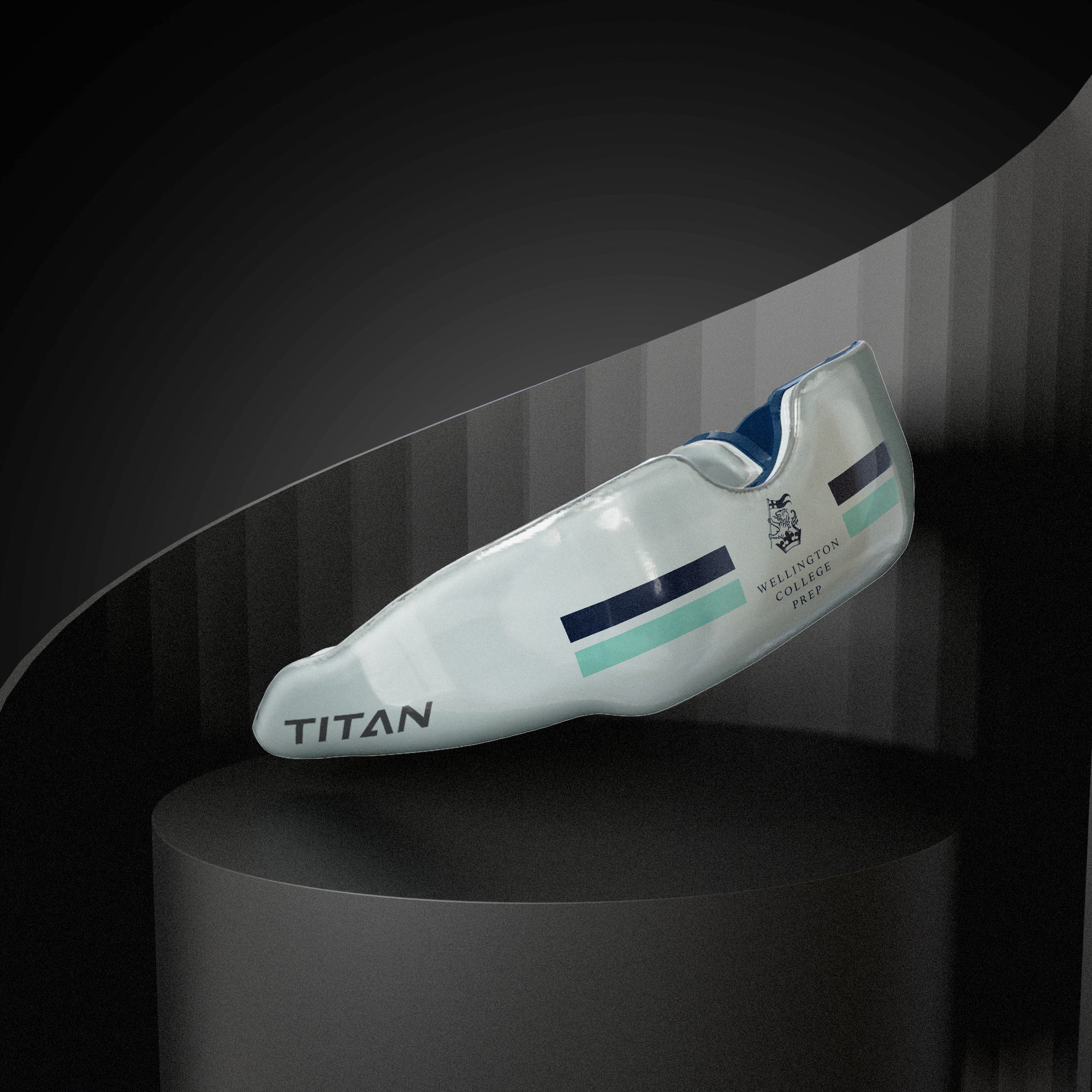 Titan School Editions - Wellington College Prep