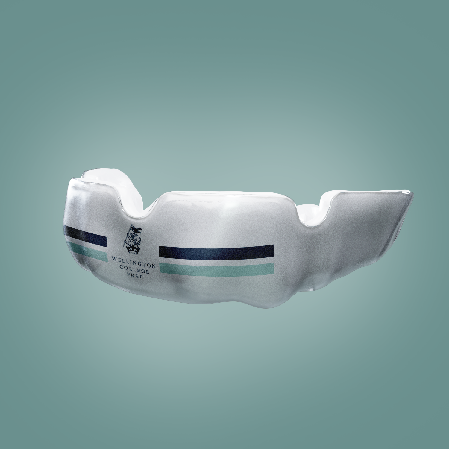 Titan School Editions - Wellington College Prep