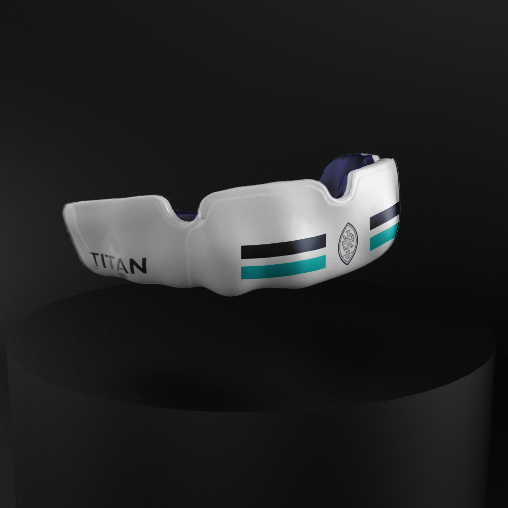 Titan School Editions - Wycombe Abbey School