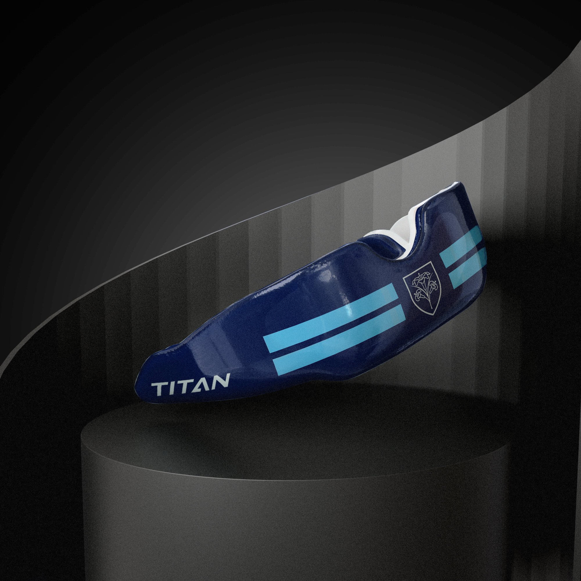 St. Mary's School Calne - Titan School Editions