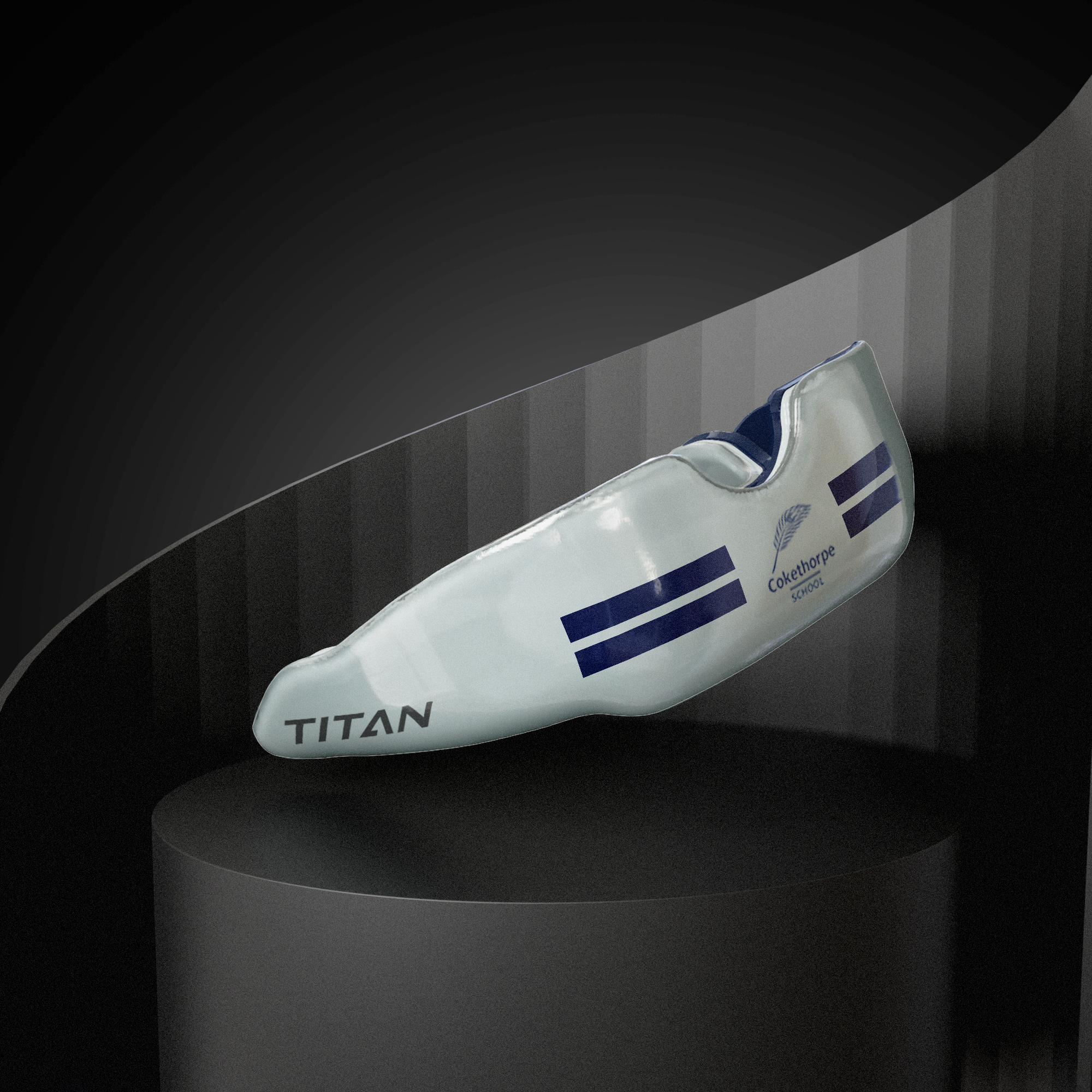 Titan School Editions - Cokethorpe School