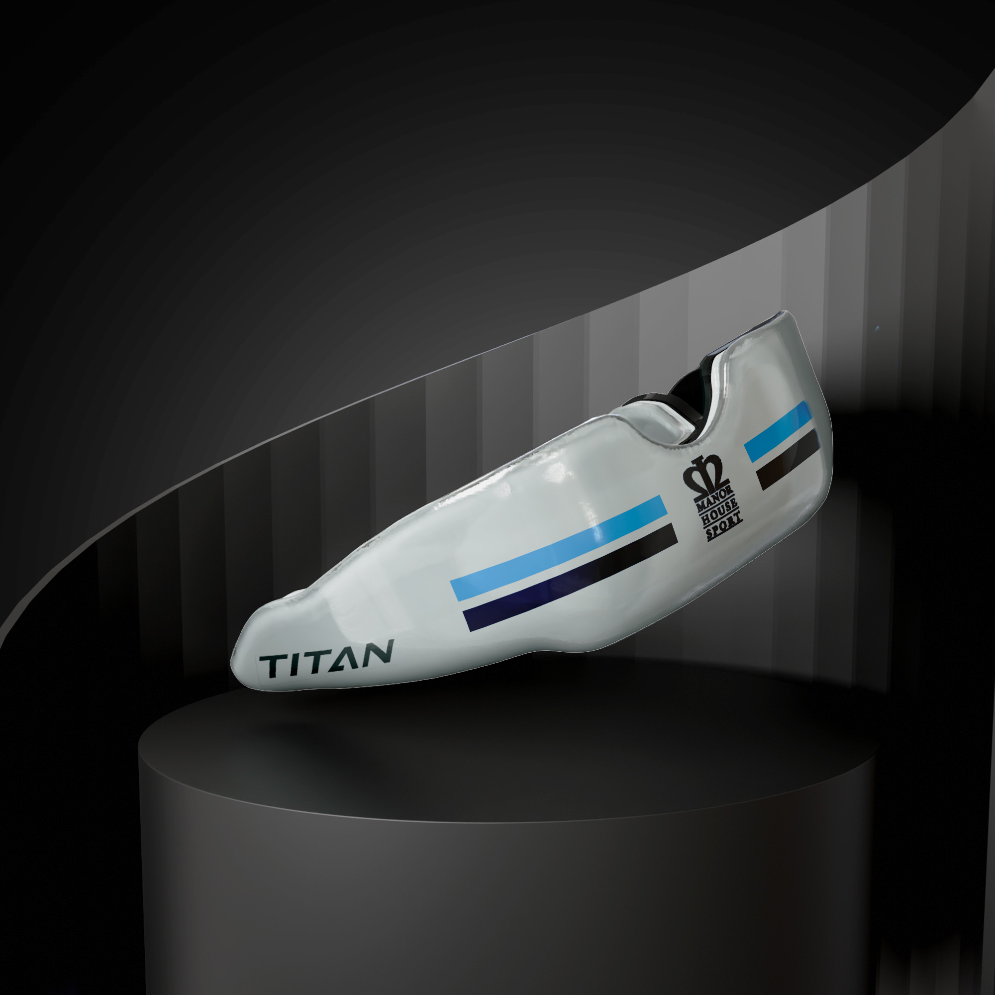 Titan School Editions - Manor House School