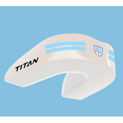 St. Mary's School Calne - Titan School Editions
